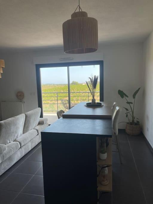 Appartement Vue Vigne Perpignan Exterior photo
