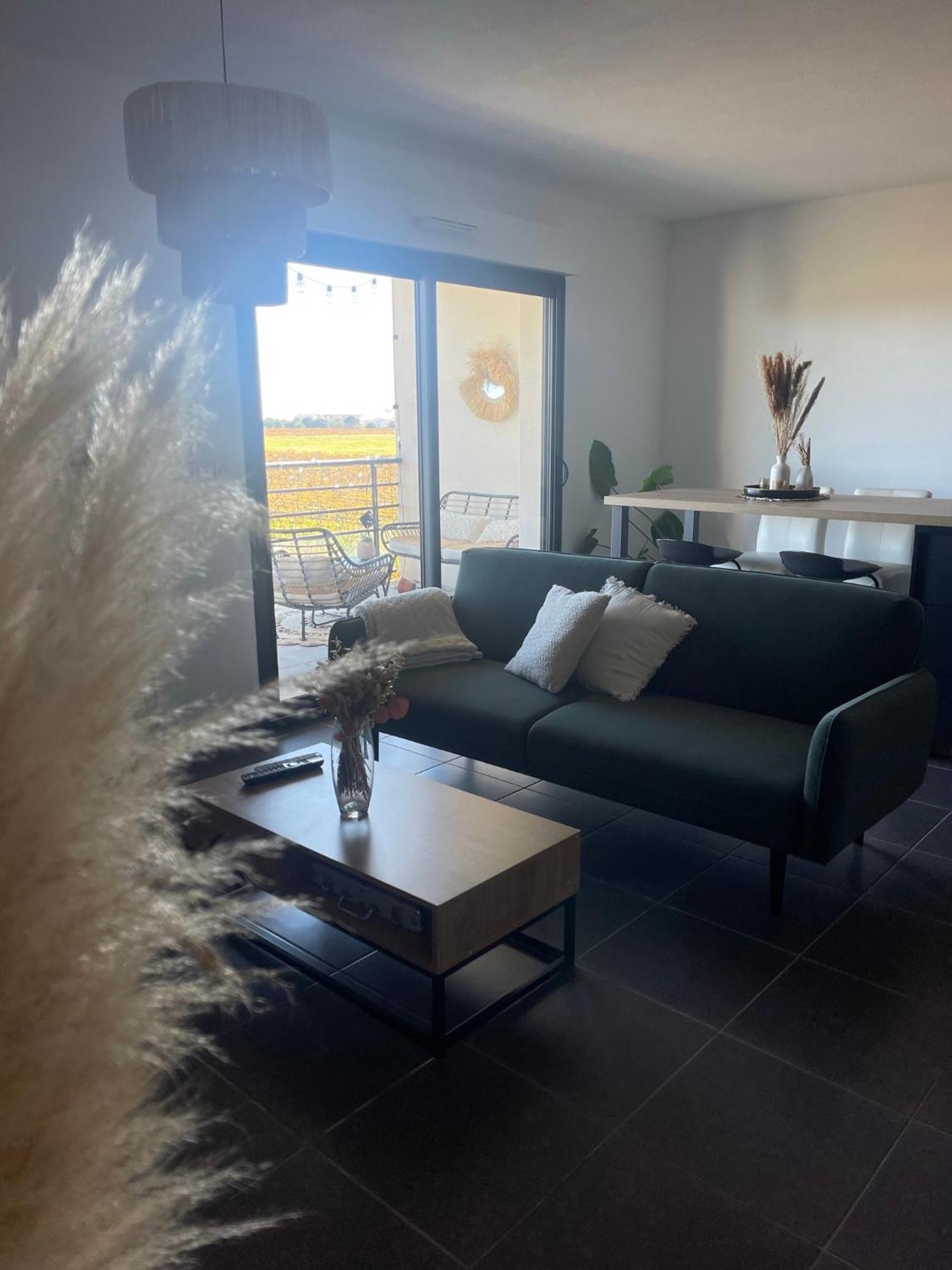 Appartement Vue Vigne Perpignan Exterior photo